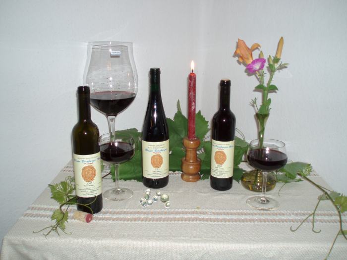 Blauer Bernburger Wein Jahrgang 2005